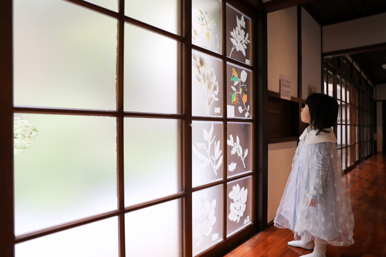 台灣林業歷史回顧與展望 0km:重訪山林課特展 台北山林療癒秘境0km山物所 - 奇奇一起玩樂趣 台灣林業歷史回顧與展望 0km:重訪山林課特展 台北山林療癒秘境0km山物所 - 奇奇一起玩樂趣